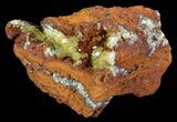 Gemmy, Yellow-Green Adamite Crystals - Durango, Mexico #65297-1